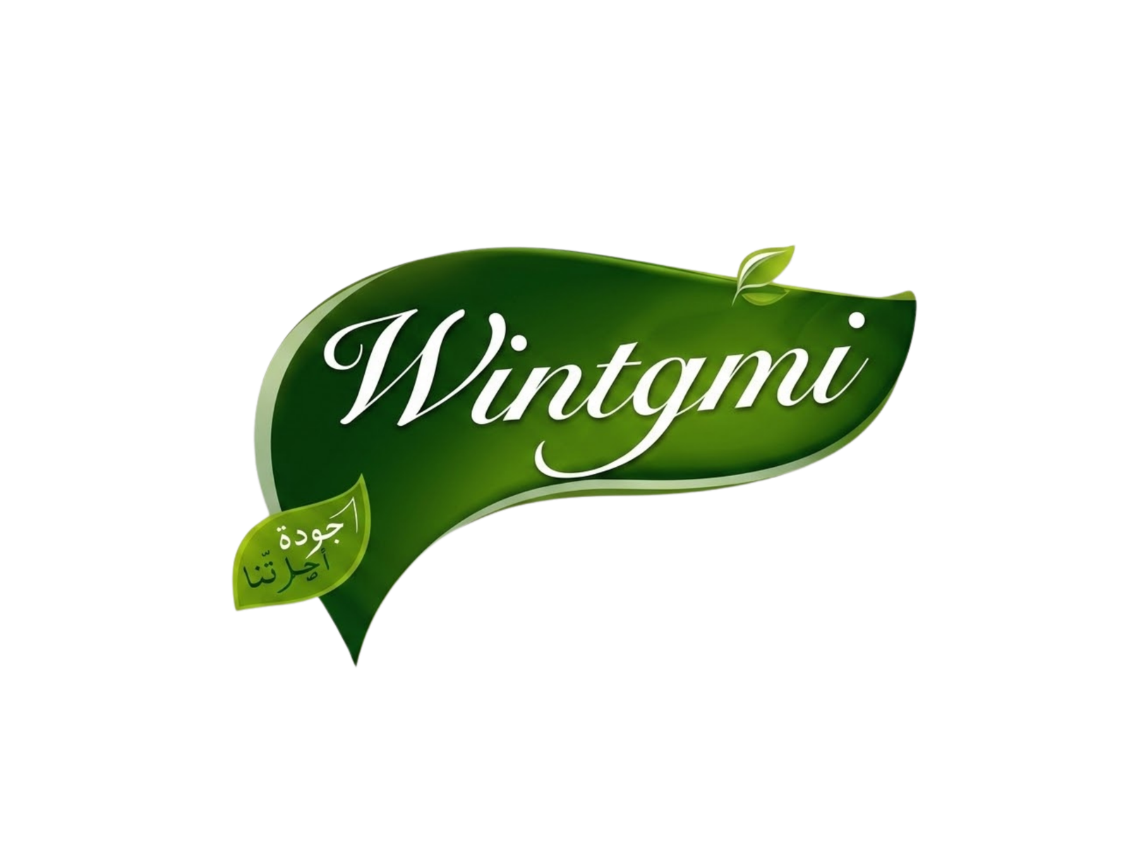 Wintgmi